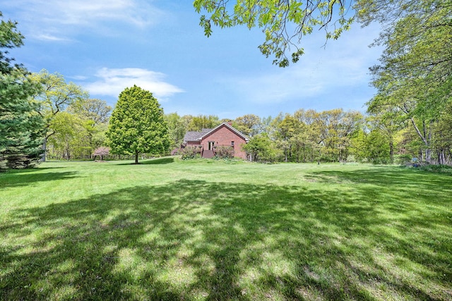 view of green lawn
