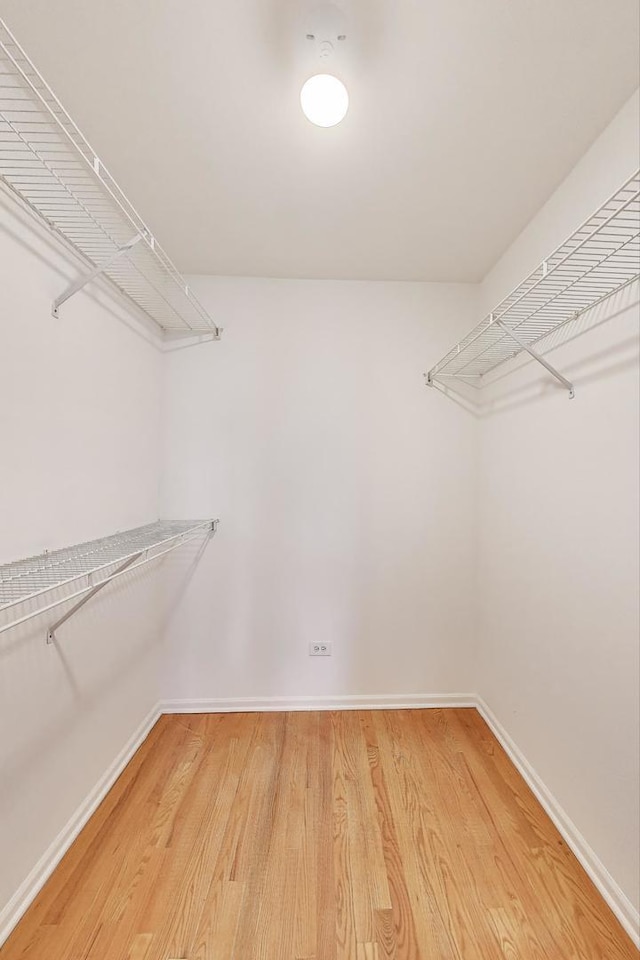 1214 N Marion Ct Unit A, Chicago, IL 60622 - walk in closet with light wood-type flooring