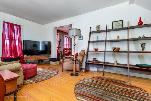 living room featuring wood finished floors