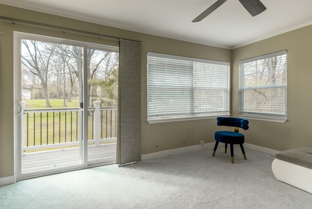 sitting room featuring a wealth of natural light, ceiling fan, and carpet floors
