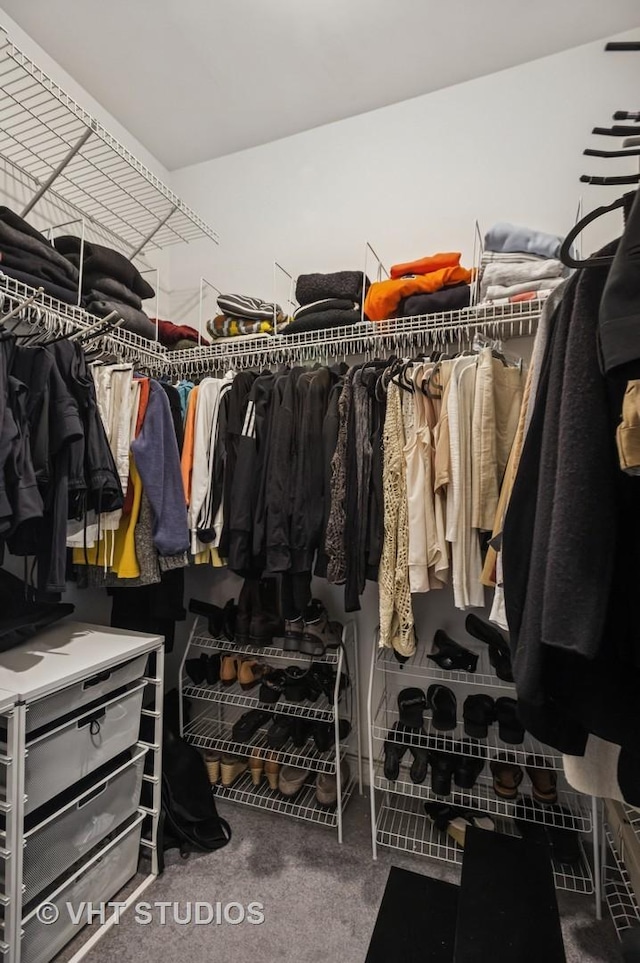 walk in closet with carpet floors