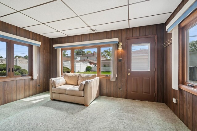 8223 N Washington St, Niles, IL 60714 - carpeted foyer entrance with wooden walls and plenty of natural light