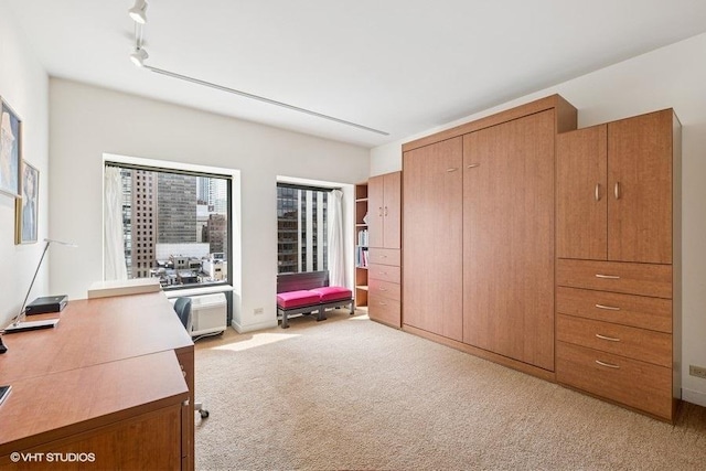 office with light carpet