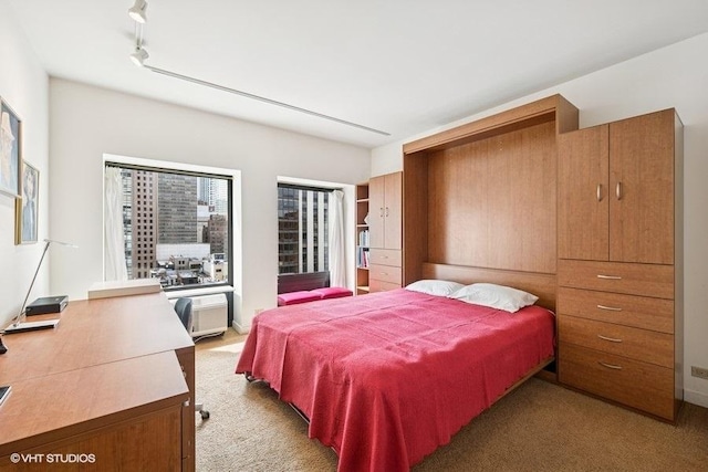 bedroom with carpet flooring