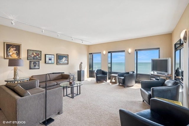 living area with carpet floors and track lighting