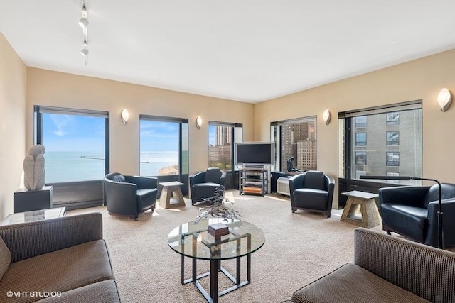 living area featuring carpet and rail lighting