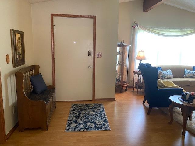 300 Marquette Ln, Spring Valley, IL 61362 - foyer entrance with lofted ceiling, light wood-style floors, and baseboards