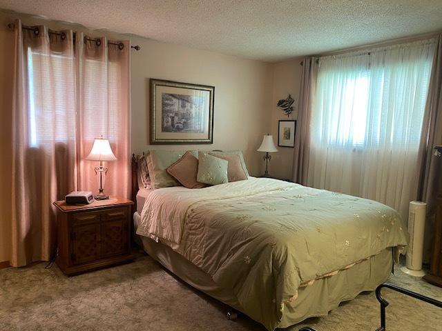 300 Marquette Ln, Spring Valley, IL 61362 - bedroom with a textured ceiling and light carpet