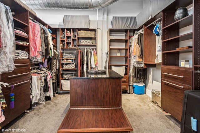 900 N Kingsbury St Unit 1150, Chicago, IL 60610 - spacious closet featuring carpet