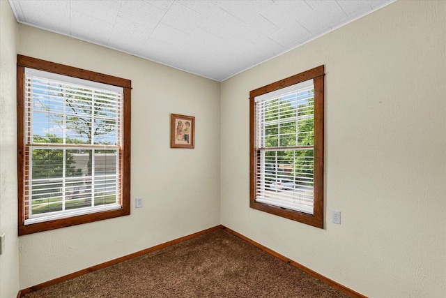 112 W N Front St, Sadorus, IL 61872 - photo 29