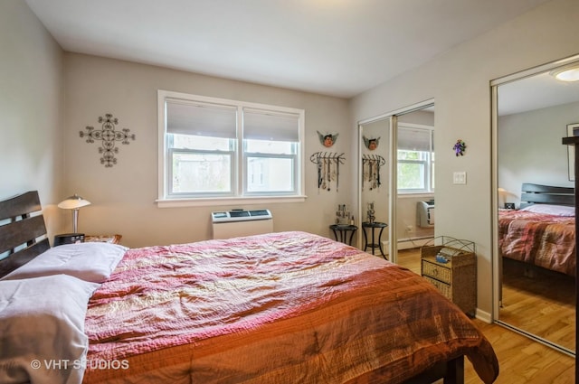 bedroom featuring wood finished floors and two closets