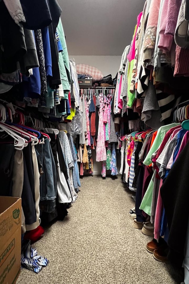 walk in closet with carpet flooring