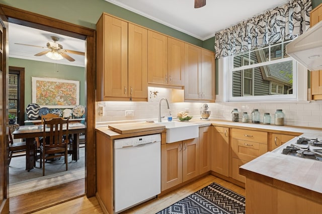 kitchen featuring a ceiling fan, white appliances, ornamental molding, and a sink