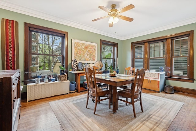 dining space with a wealth of natural light, a ceiling fan, ornamental molding, and light wood-style floors
