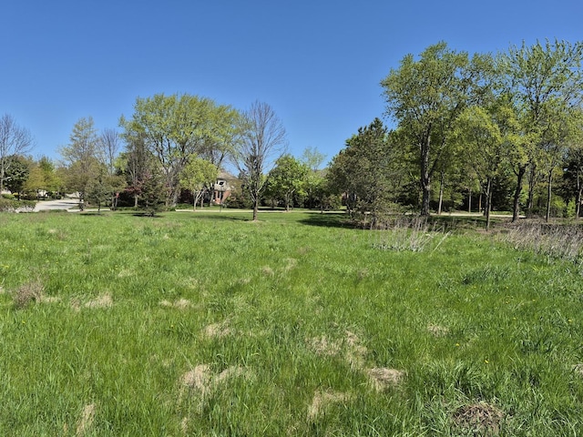 7215 Daybreak Ln, Long Grove, IL 60060 - view of yard