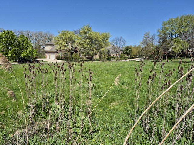 7215 Daybreak Ln, Long Grove, IL 60060 - view of yard with an attached garage