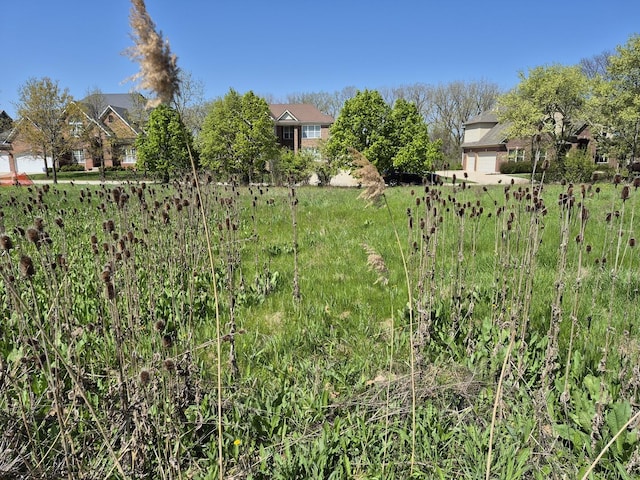 7215 Daybreak Ln, Long Grove, IL 60060 - view of yard