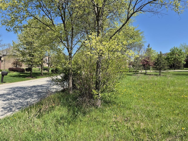 7215 Daybreak Ln, Long Grove, IL 60060 - view of home's community featuring driveway