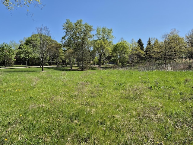 7215 Daybreak Ln, Long Grove, IL 60060 - view of yard