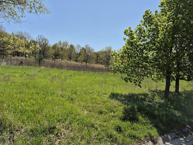 7215 Daybreak Ln, Long Grove, IL 60060 - view of yard