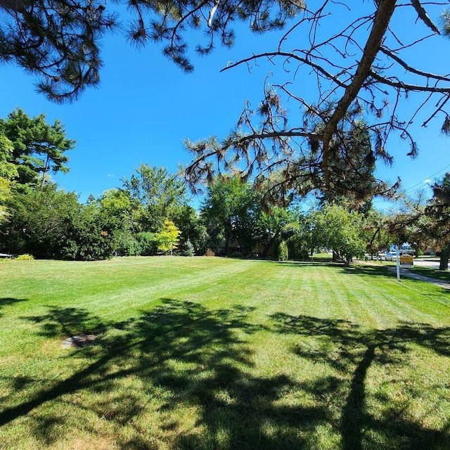 1828 E Lincoln Ave, Des Plaines, IL 60018 - photo 5