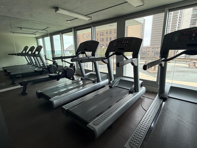 gym with floor to ceiling windows