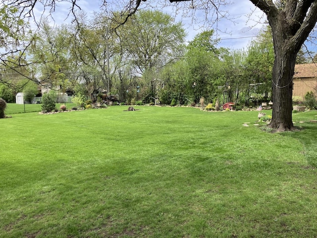 view of yard