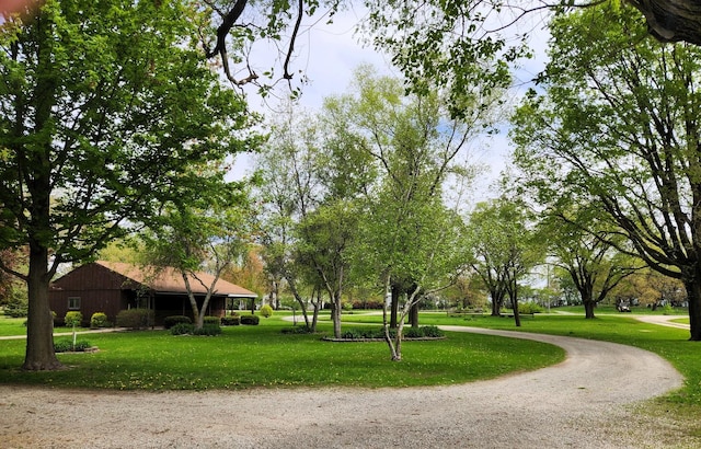 view of home's community with a yard