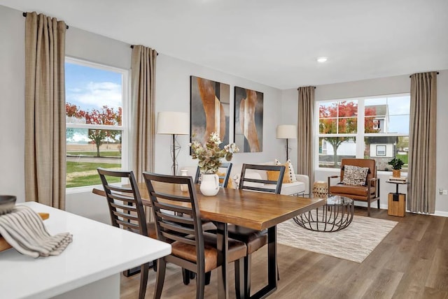 4202 High Point Ct, Joliet, IL 60436 - dining area featuring a wealth of natural light, recessed lighting, and wood finished floors