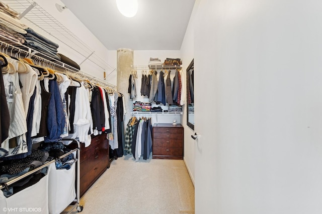 spacious closet with light colored carpet