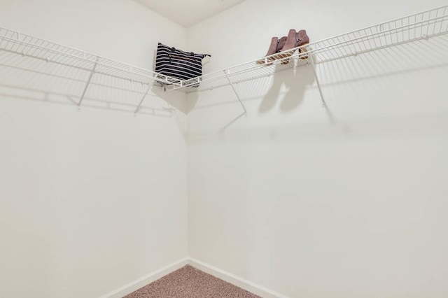 walk in closet featuring carpet