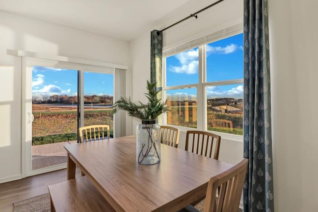 dining area with wood finished floors
