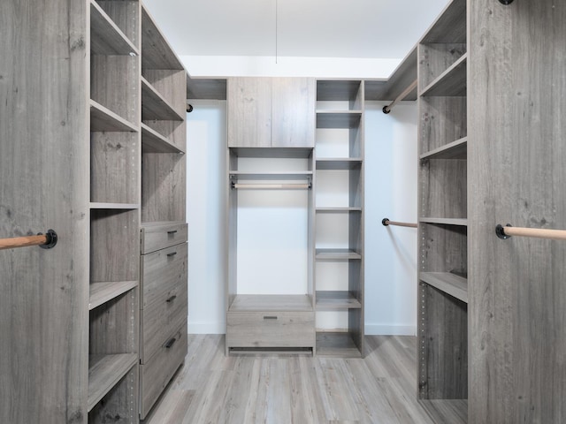 spacious closet with wood finished floors