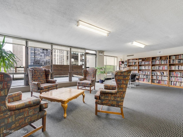 carpeted living room with a textured ceiling and a wealth of natural light
