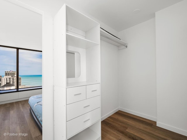walk in closet with dark wood finished floors