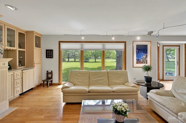 11 N Meadow Ct, South Barrington, IL 60010 - living area featuring light wood-style floors