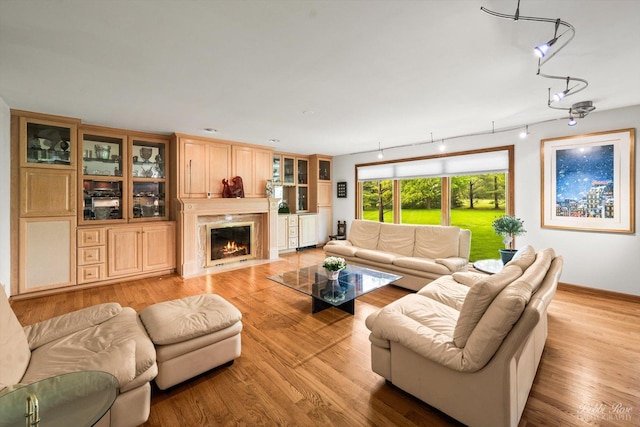 11 N Meadow Ct, South Barrington, IL 60010 - living area with a premium fireplace, light wood finished floors, rail lighting, and baseboards