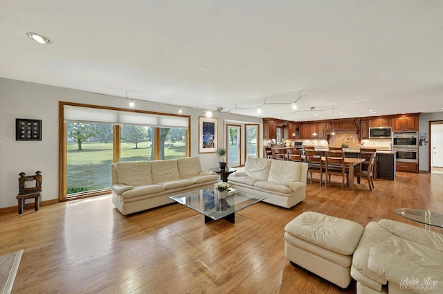 11 N Meadow Ct, South Barrington, IL 60010 - living room featuring light wood finished floors and recessed lighting