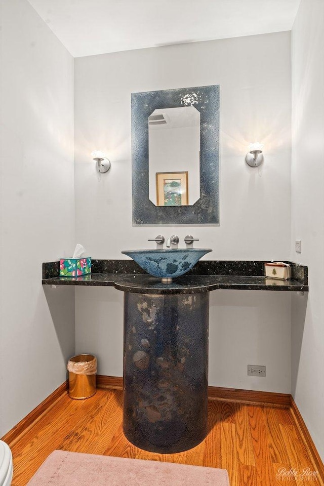 11 N Meadow Ct, South Barrington, IL 60010 - bathroom with wood finished floors, a sink, and baseboards