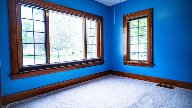 214 W Watson St, Forrest, IL 61741 - spare room with healthy amount of natural light, carpet flooring, and baseboards