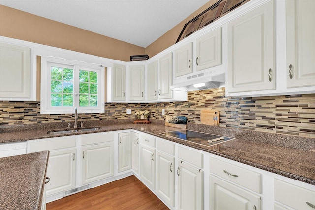 kitchen featuring under cabinet range hood, a sink, black electric stovetop, white cabinets, and tasteful backsplash