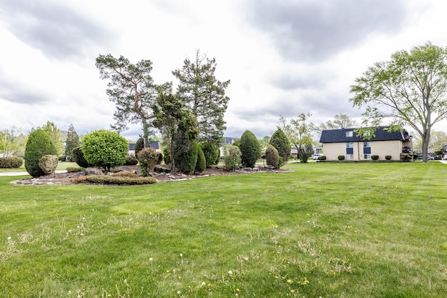 11102 S 84th Ave Unit 2B, Palos Hills, IL 60465 - view of green lawn
