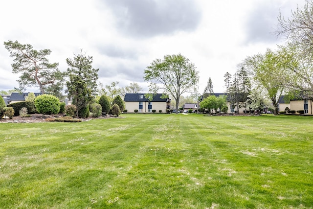 11102 S 84th Ave Unit 2B, Palos Hills, IL 60465 - view of green lawn