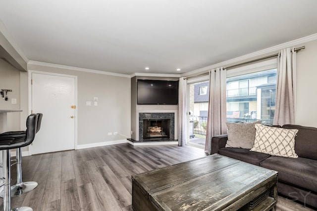 11102 S 84th Ave Unit 2B, Palos Hills, IL 60465 - living area featuring wood finished floors, crown molding, a premium fireplace, baseboards, and recessed lighting