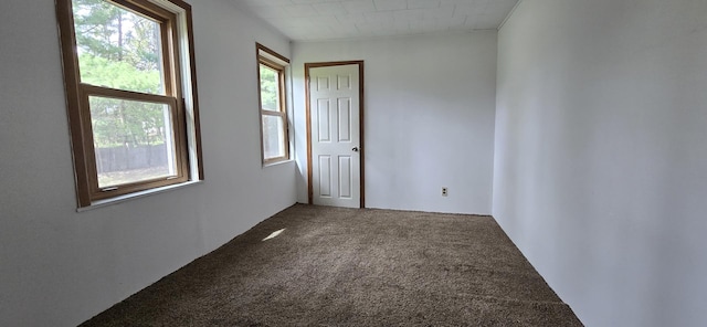 spare room with carpet floors