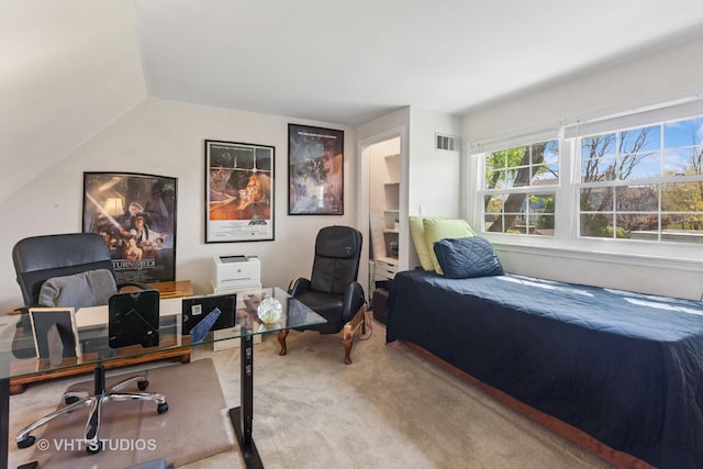 29W107 Lakeside Dr, Naperville, IL 60564 - bedroom featuring lofted ceiling, visible vents, and carpet