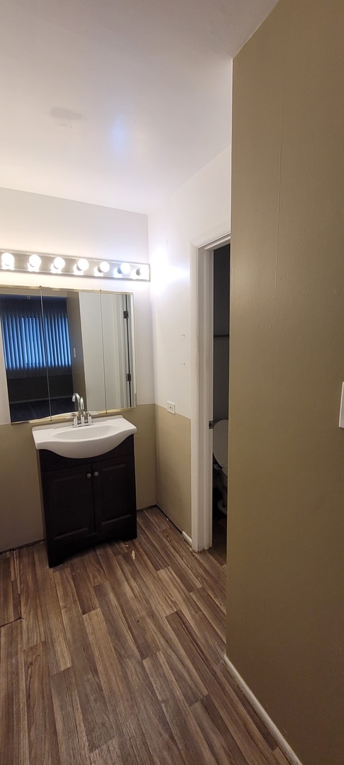 bathroom with vanity, toilet, and wood finished floors