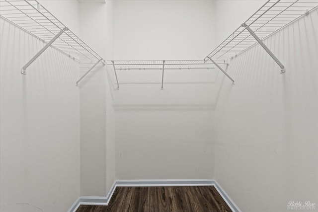 walk in closet with wood finished floors