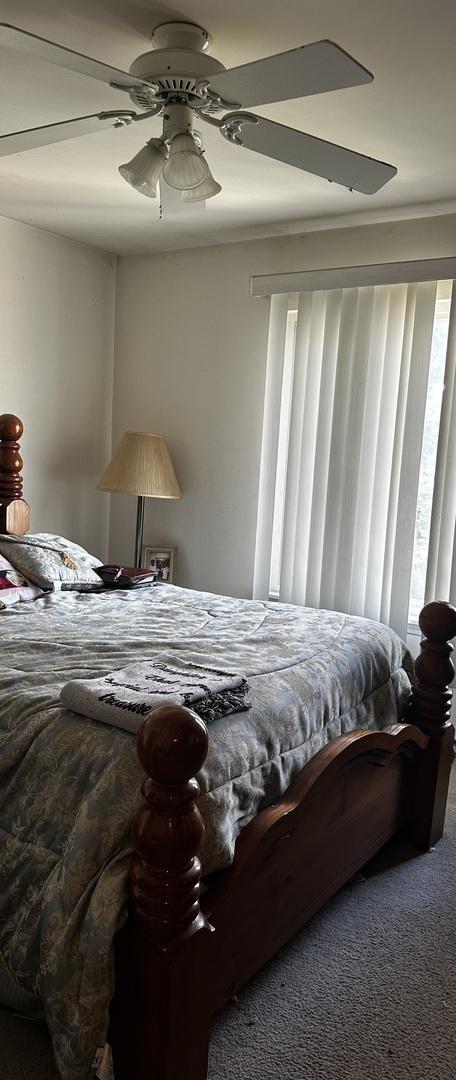 carpeted bedroom featuring a ceiling fan and multiple windows