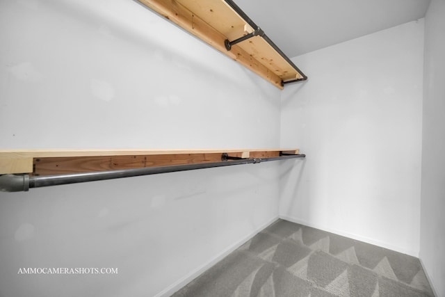 walk in closet with dark colored carpet